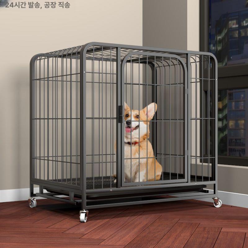 실내용 울타리 고양이 추천 10개 지금 꼭 필요한 인기 제품