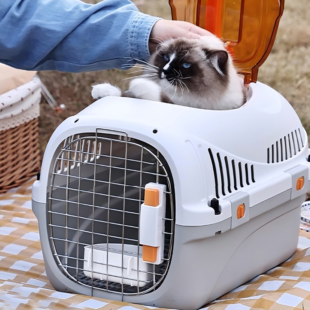 추천 인기 고양이 이동장 10종 지금 바로 구매하세요