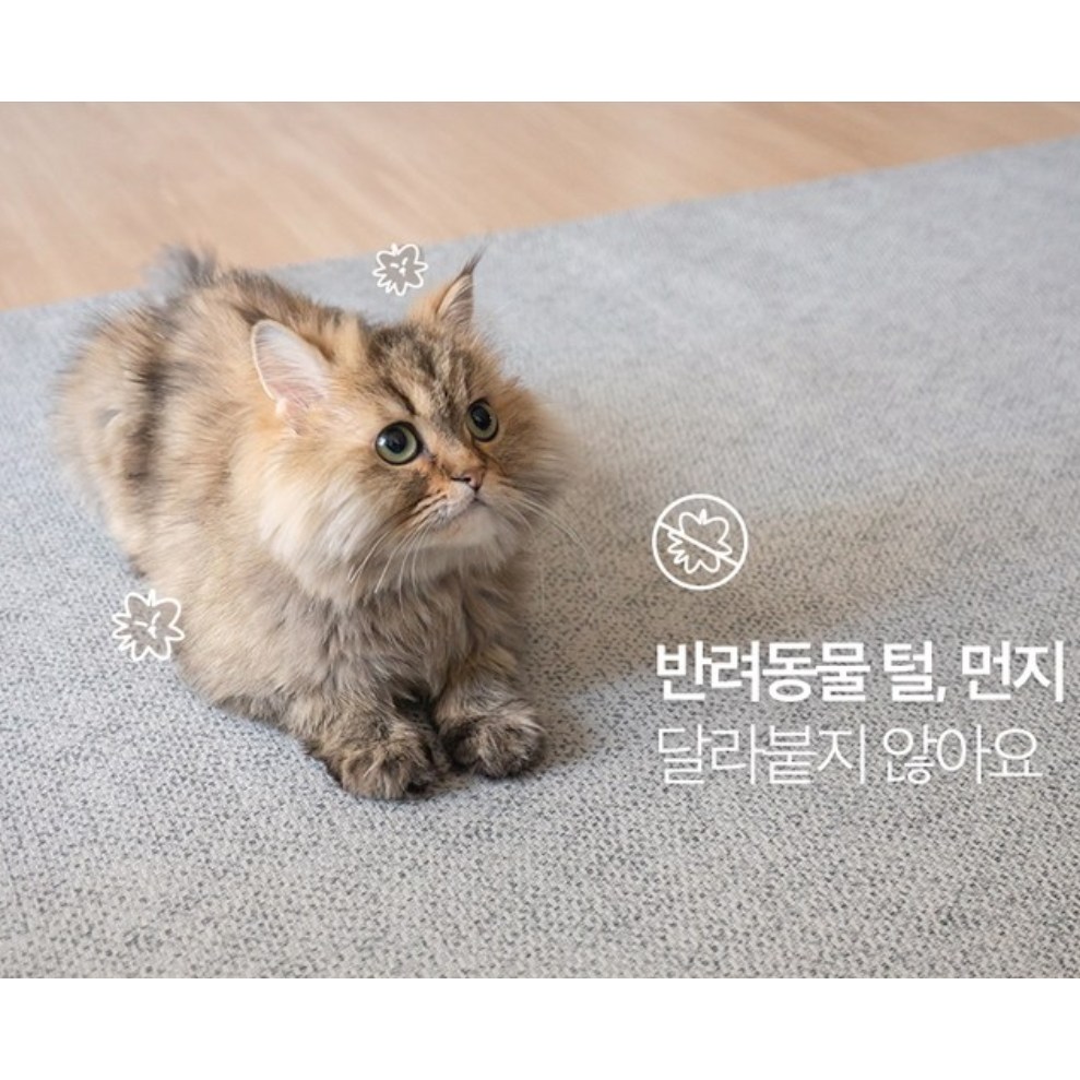 추천 인기 털 안 붙는 매트 10종 지금 구매하세요!