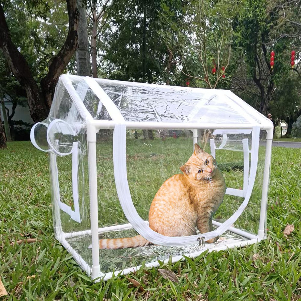 추천 인기 고양이 방수텐트 10개 지금 바로 구매하세요!