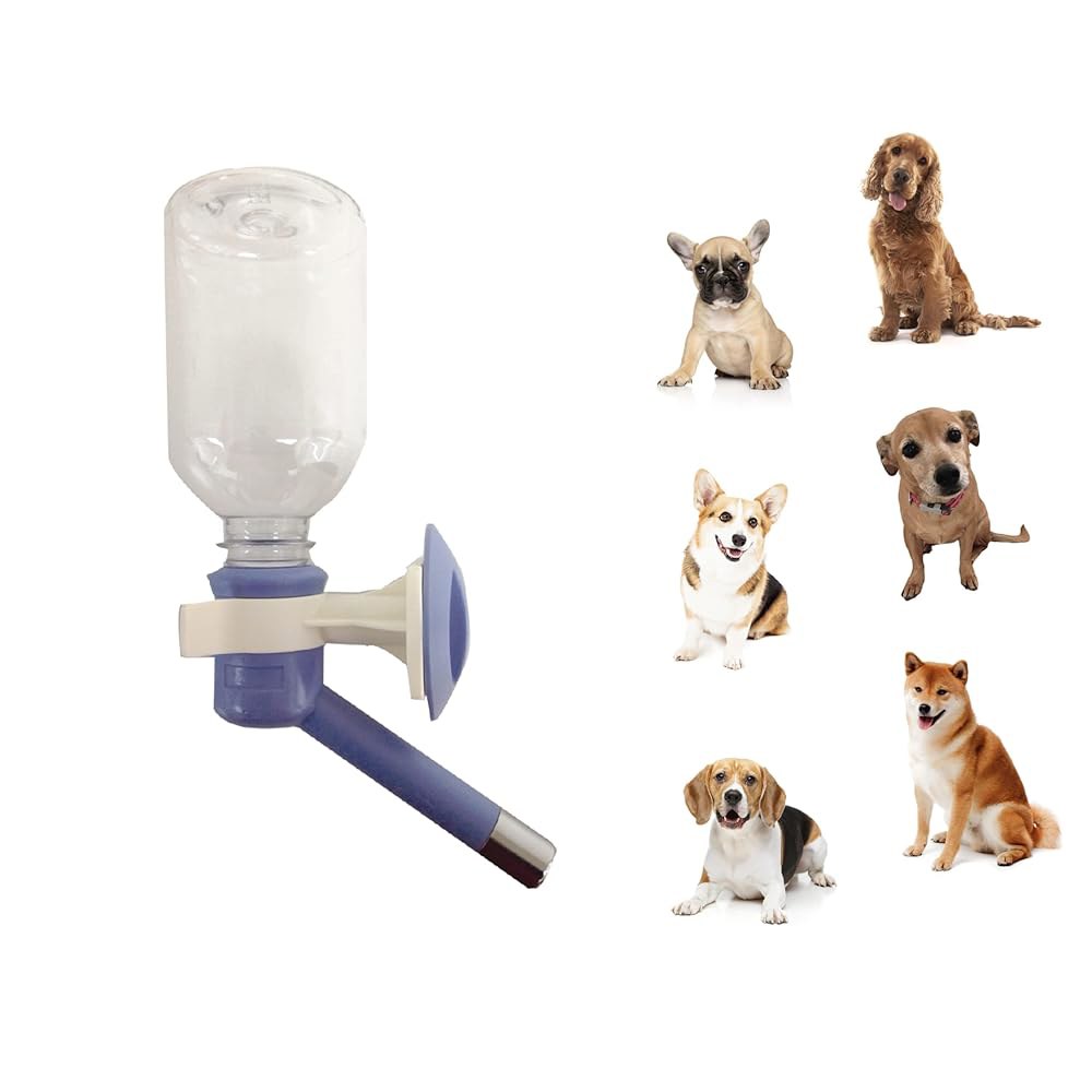 대형견 정수기 추천 10개 인기 제품 지금 바로 확인하세요