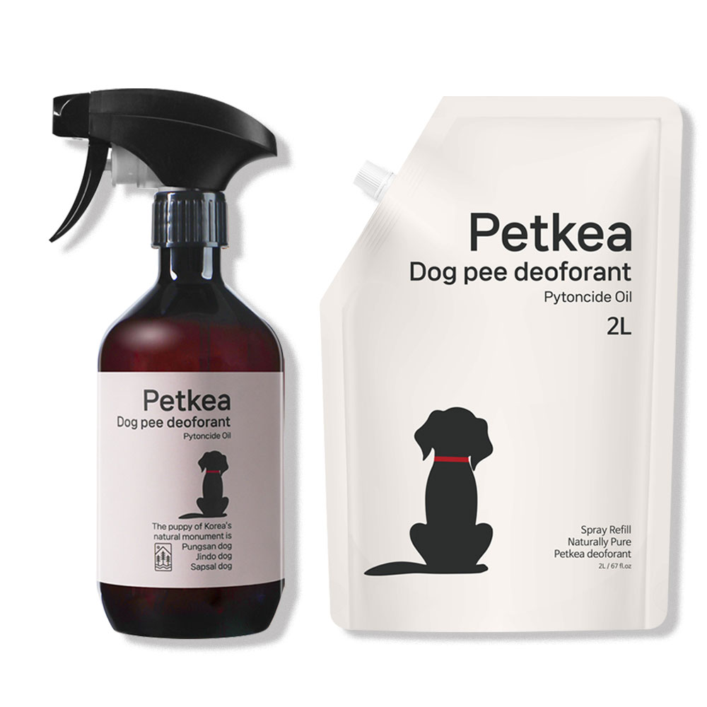 추천! 강아지용 식기 세척솔 10개 인기 상품 지금 확인하세요