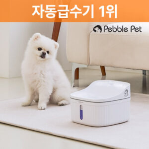 추천 인기 펫전용 급수기 10종 지금 만나보세요!