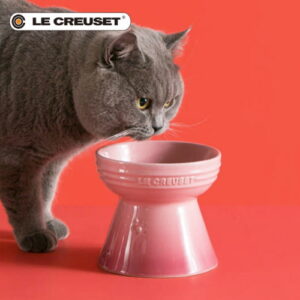 추천 인기 강아지 스탠드볼 10종 지금 바로 만나보세요!