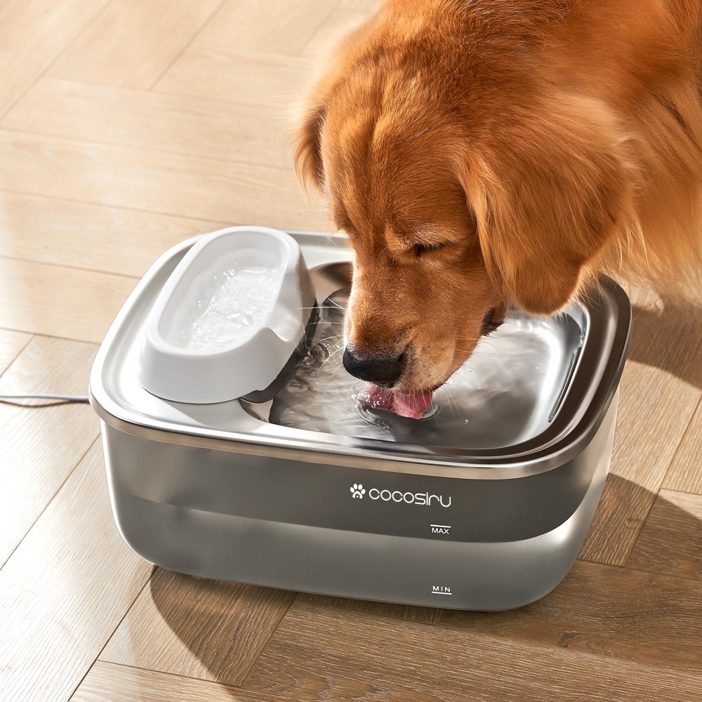 추천 인기 대형견 물병 10종 지금 바로!