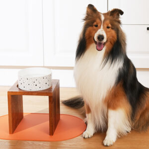 대형묘 식탁 추천 10개 인기 상품 지금 구매하세요!