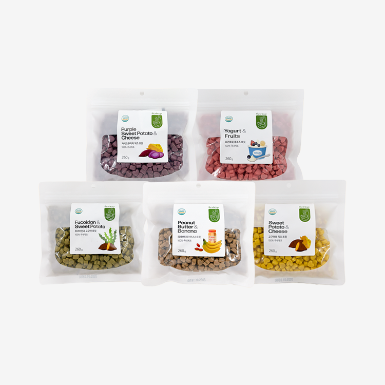 추천 도그비스킷 10종 필수 강아지 간식 지금 구매!