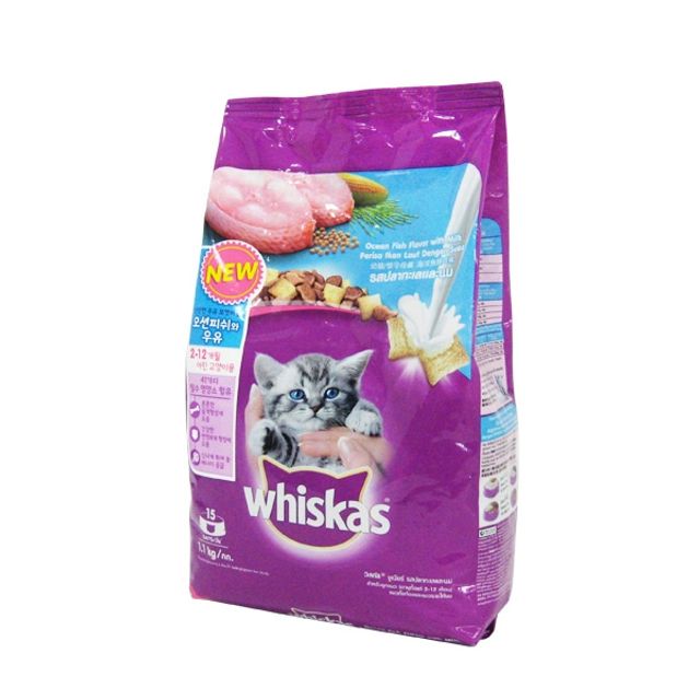 추천 인기 자묘 사료 10종 지금 바로 선택하세요!