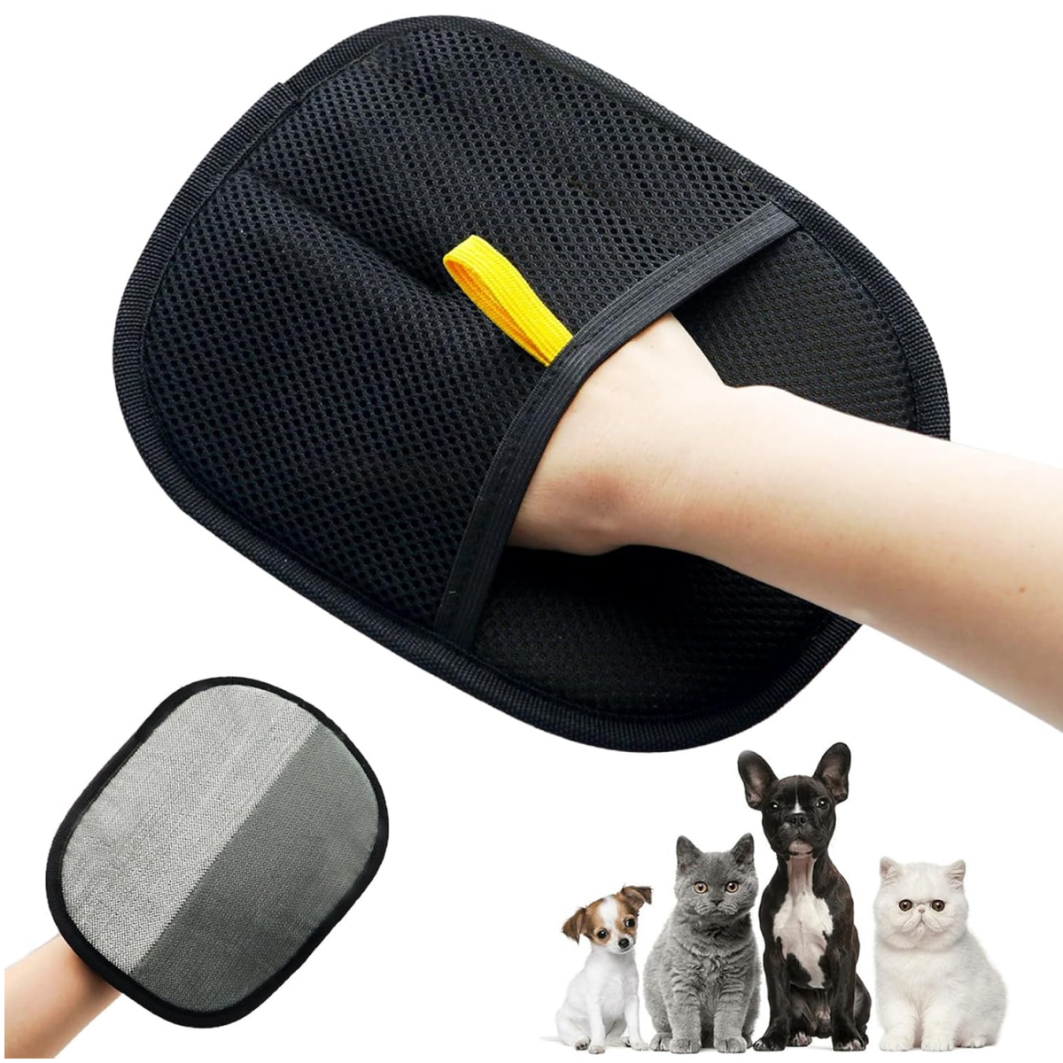 추천 인기 10자동털제거 브러쉬 지금 바로 구매하세요