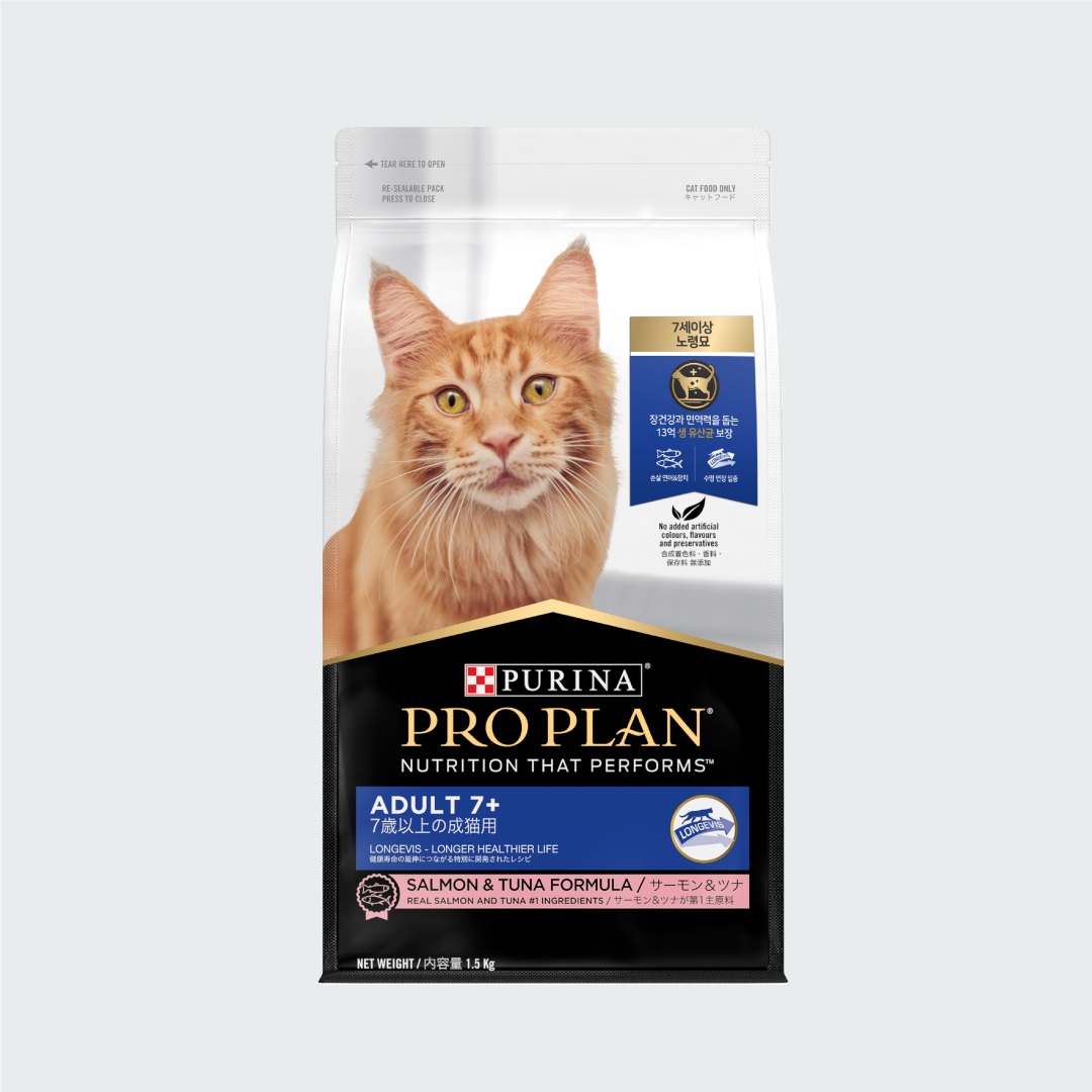 추천 노묘 사료 10가지, 지금 바로 선택해야 하는 인기 제품!