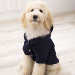 추천 인기 강아지용 펫의류 10종 지금 바로 구매하세요!