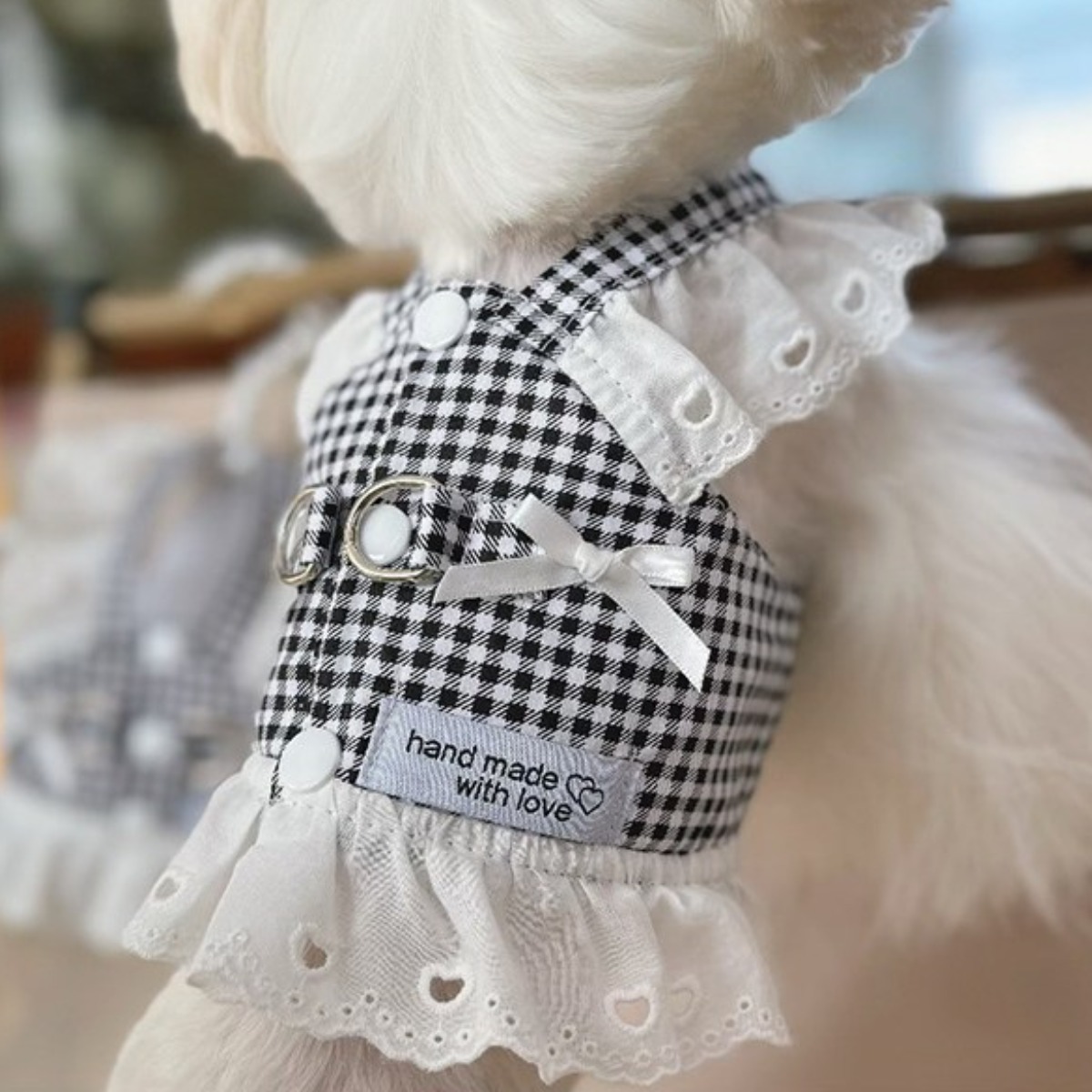 여름옷 강아지용 추천 10종 인기 필수 상품 지금 구매하세요!