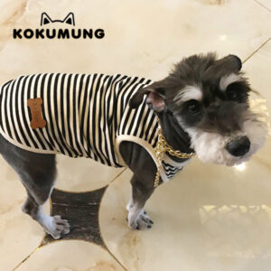 추천 인기 강아지용 나시티 10종 필수 구매!