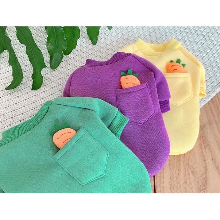 추천 인기 강아지용 긴팔티 10종 지금 바로 구매하세요!