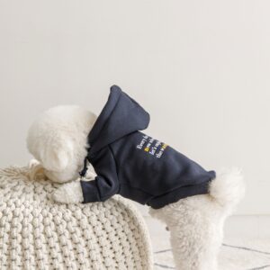 추천 겨울티 강아지용 10개 인기 상품 지금 바로 확인!