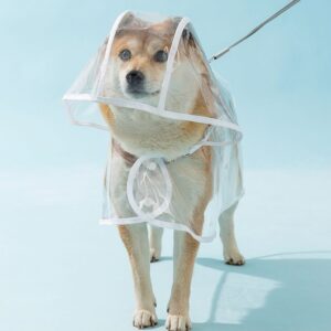 우비 강아지용 추천 3종 인기 필수 상품!