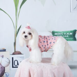 꽃무늬 원피스 강아지용 추천 10개 지금 인기 상품