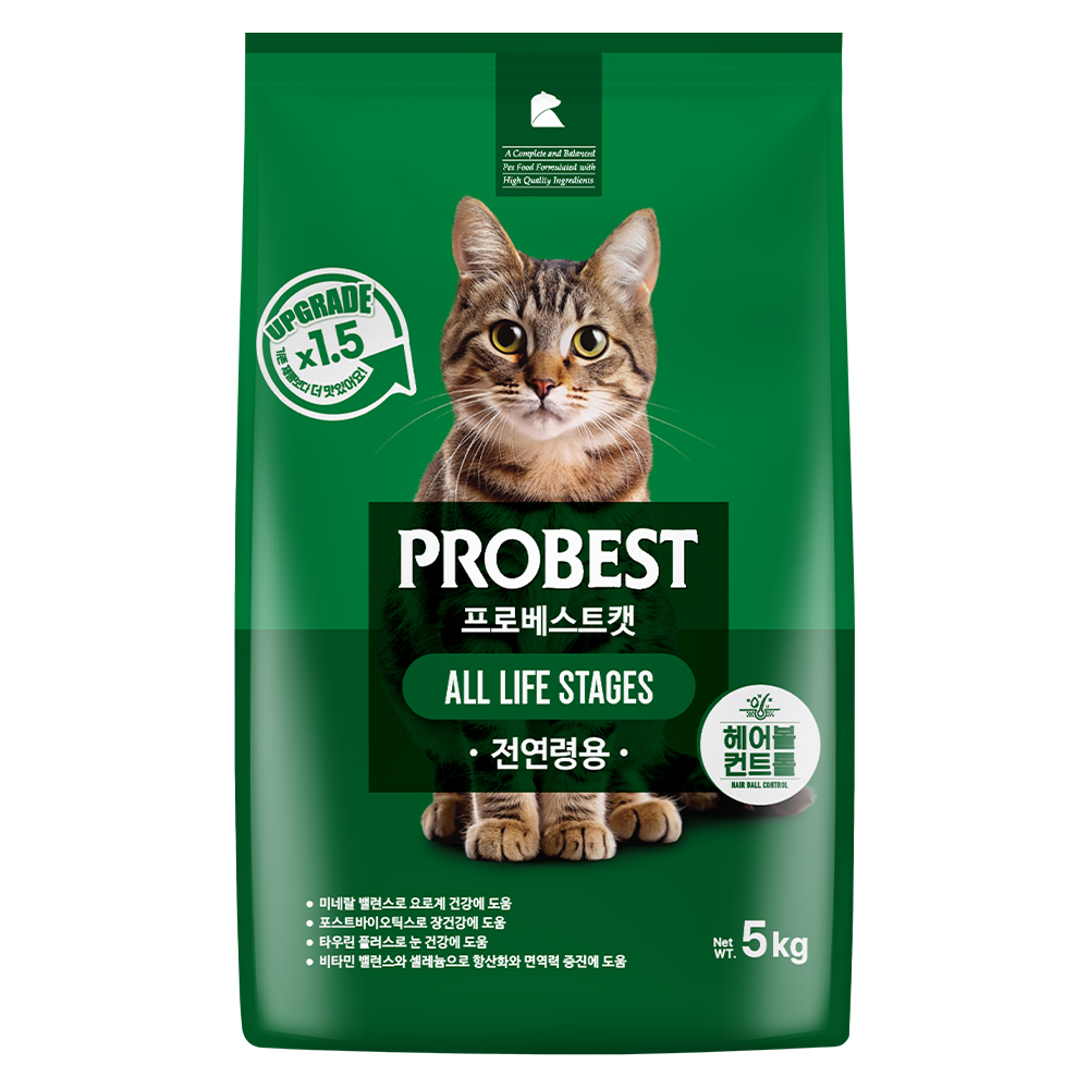 추천 지금 바로! 인기 장건강 사료 고양이 10선