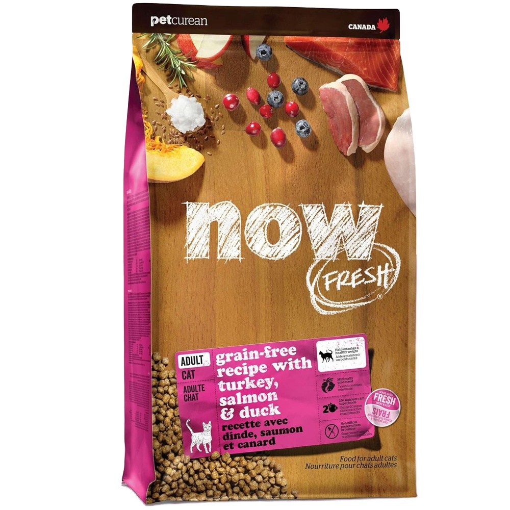 추천 인기 10종 나우 프레쉬 캣 건강한 선택!