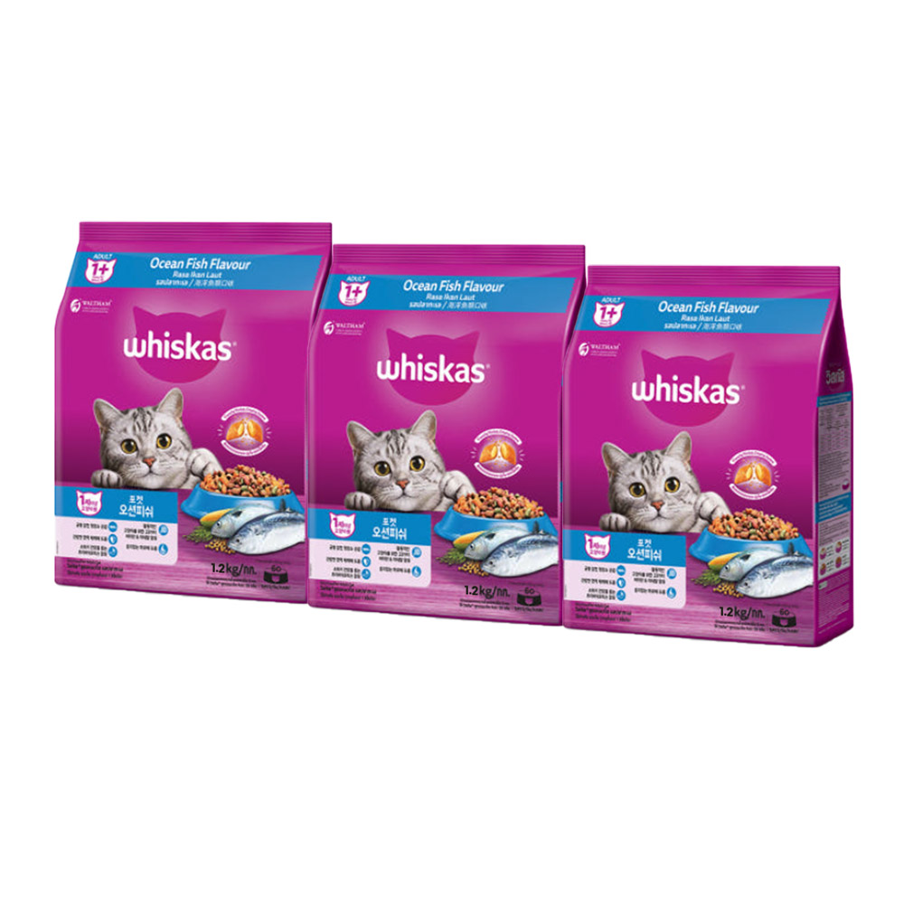 헤어볼관리 사료 추천 10종 지금 꼭 구매하세요