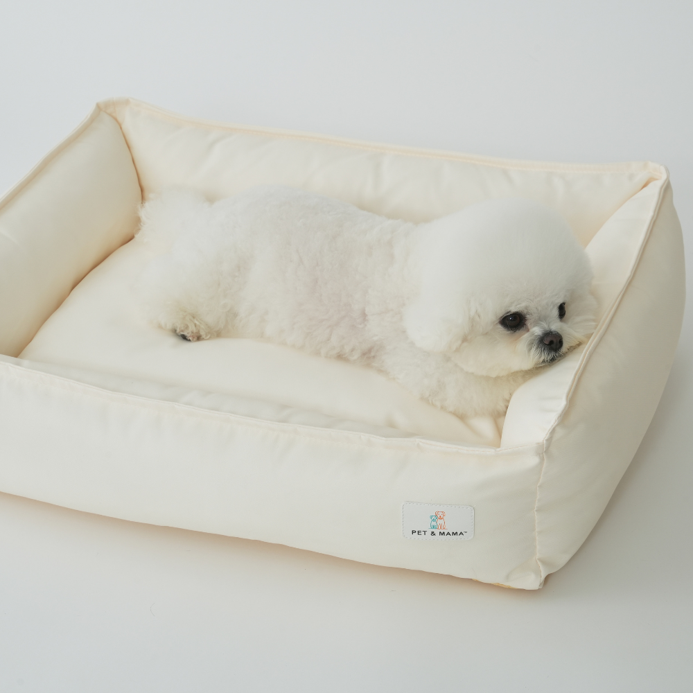 추천 인기 강아지용 방수방석 10종 필수 구매!