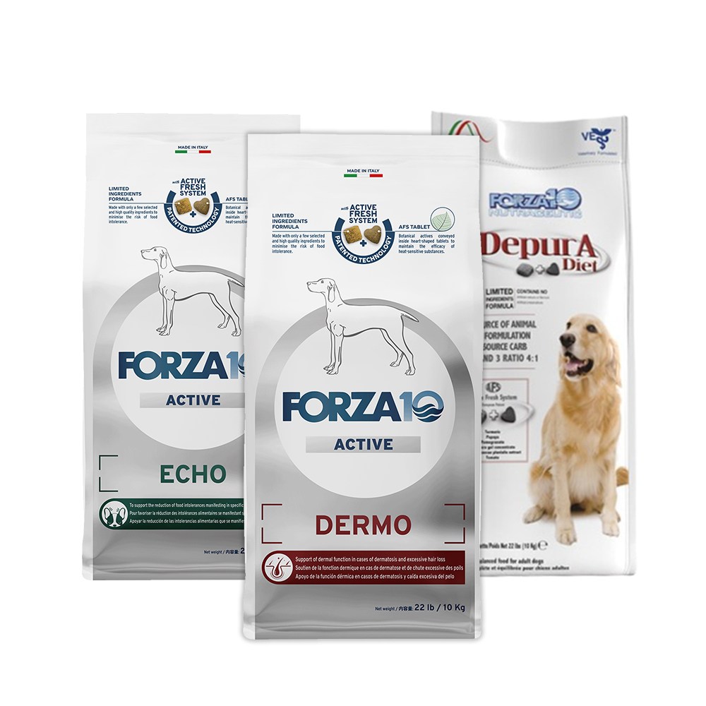 건강관리 사료 고양이 추천 10종 지금 꼭 확인하세요