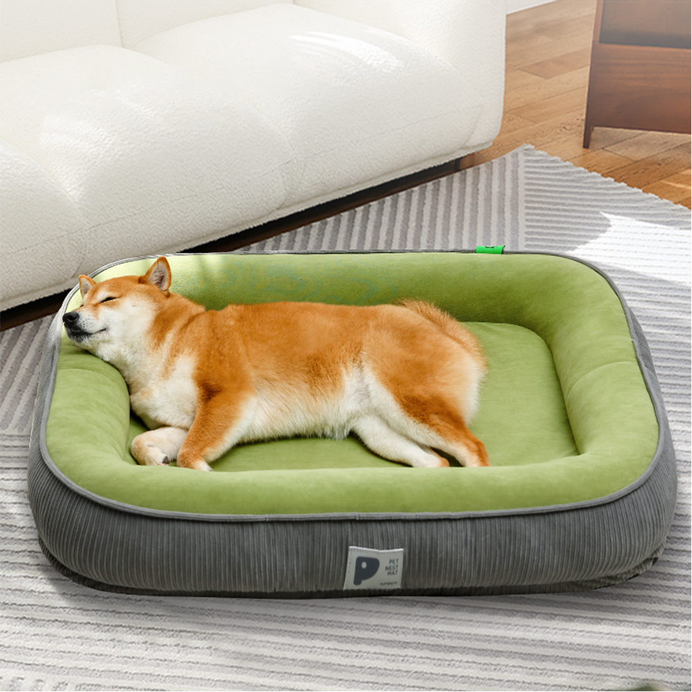 추천 인기 보아털 쿠션 강아지용 5종 지금 바로 만나보세요