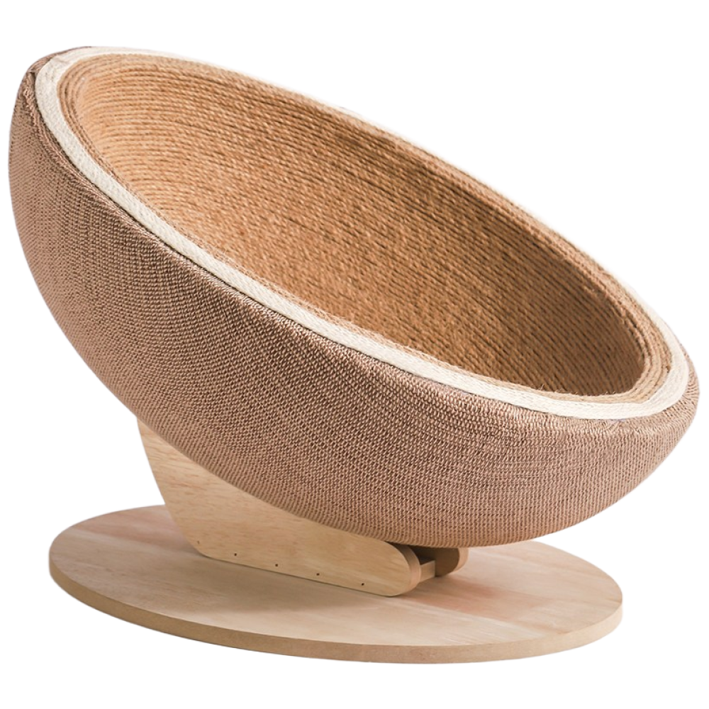 실내용 하우스 고양이 추천 10개 인기 필수 상품 지금 구매하세요!