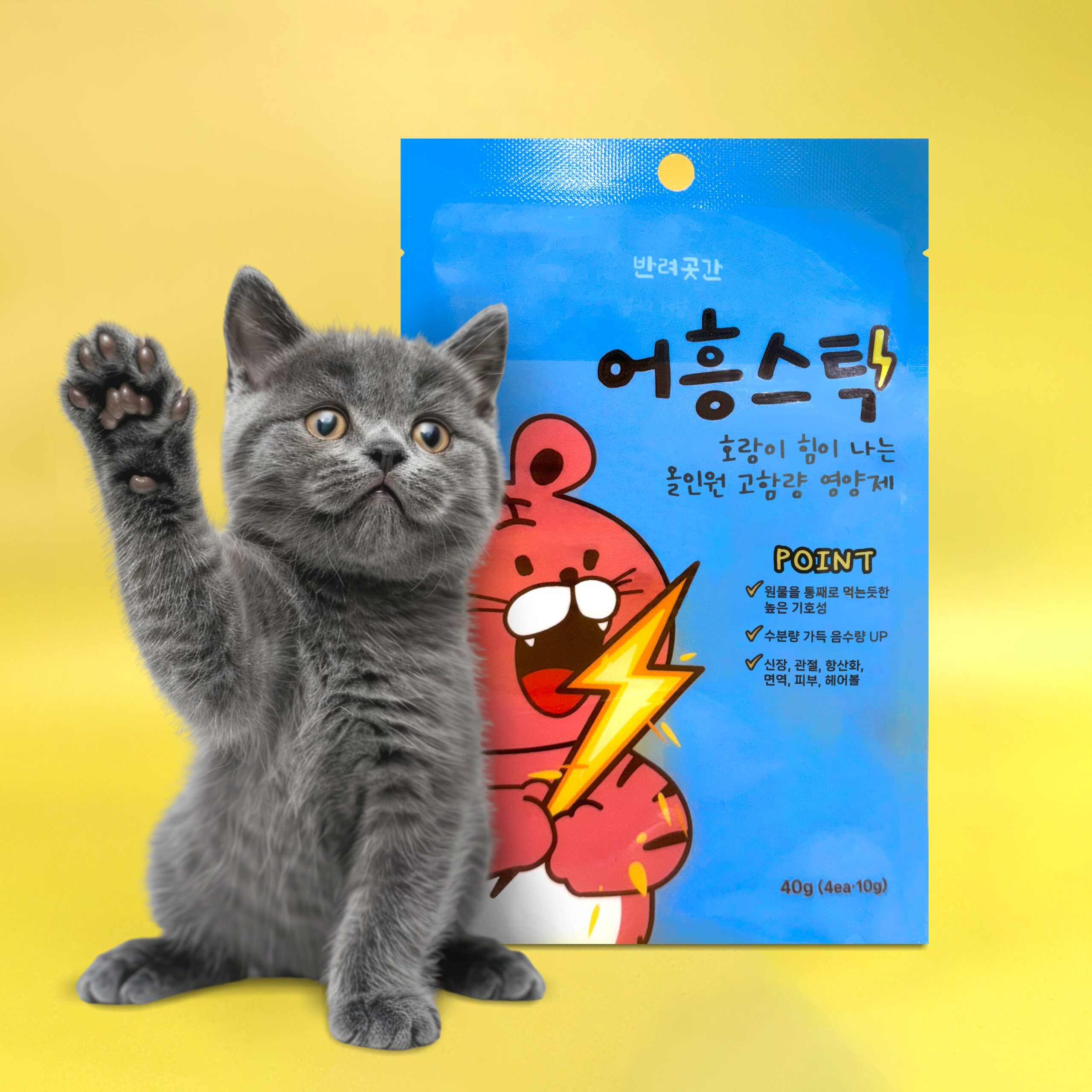 추천 인기 고등어 간식 고양이 10종 지금 구매하세요!