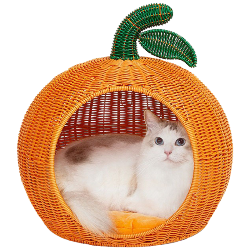 인기 추천 라탄 하우스 고양이 10개 지금 바로 확인하세요!