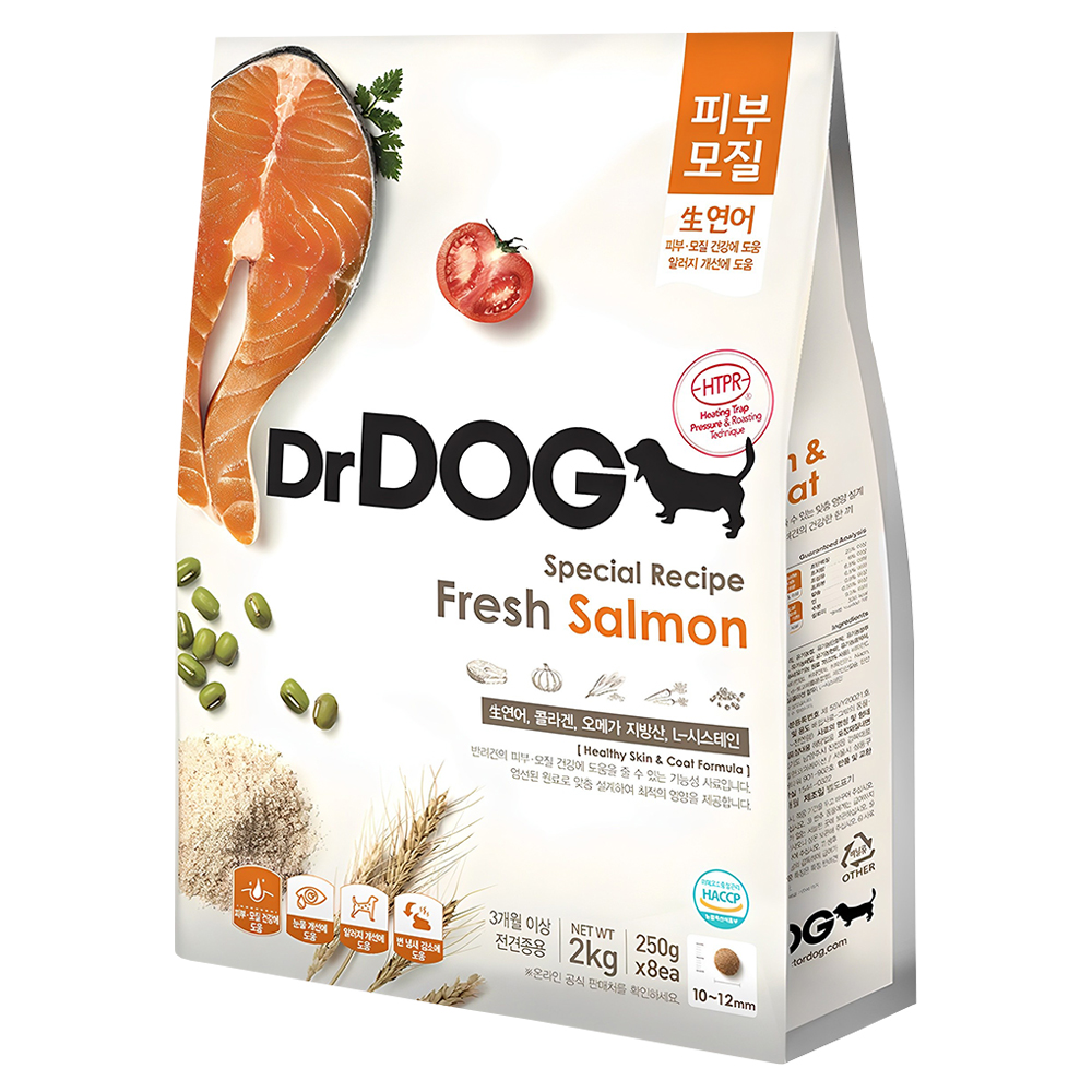 추천 강아지 사료 10종 필수 선택! 지금 바로 확인하세요