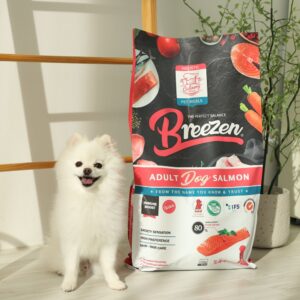 “브리젠 홀리스틱 어덜트 강아지사료 연어” 적극 추천 이 사료 왜 이렇게 좋은지 알아봐요