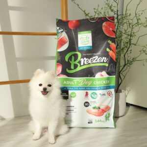 “브리젠 홀리스틱 어덜트 강아지사료 치킨” 추천템, 이 가격에 믿고 사도 될까?