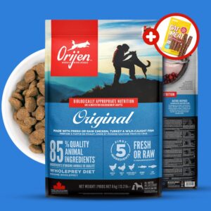 “오리젠 오리지날 독 11.4kg 푸들 말티즈 포메 비숑 전견종 고단백 프리미엄 사료” 솔직 리뷰 당신의 반려견이 사랑할 이유